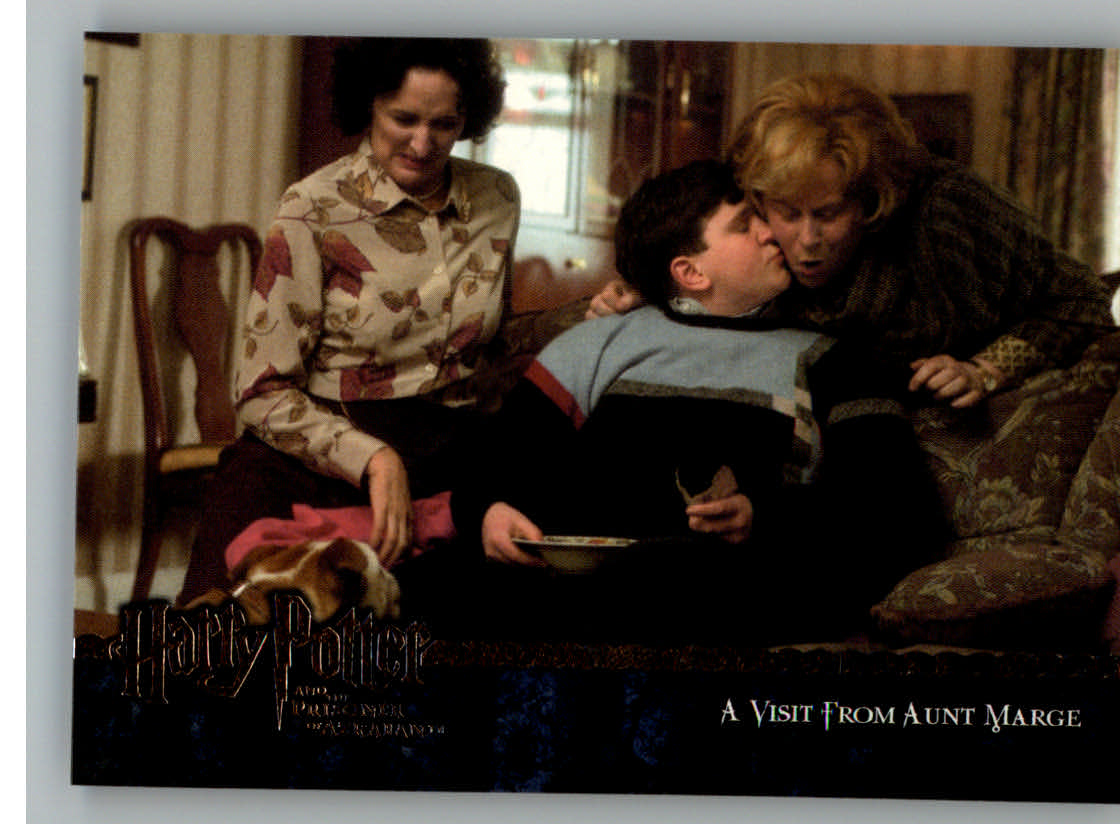 harry potter and the prisoner of azkaban #19 a visit from aunt