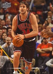 2008-09 Bulls Upper Deck #10 Aaron Gray