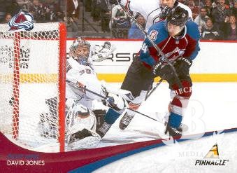 2011-12 Pinnacle #54 David Jones