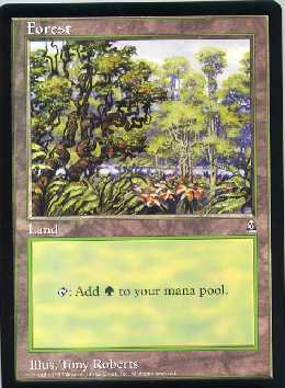 Wizards of the Coast Magic the Gathering Forest  Arena Jumbo card
