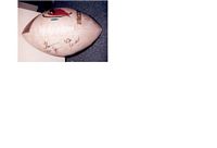 Thomas Jones autographed ( signed autograph ) Arizona Cardinals football