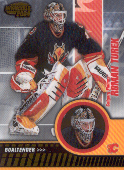2003-04 Pacific Invincible #14 Roman Turek