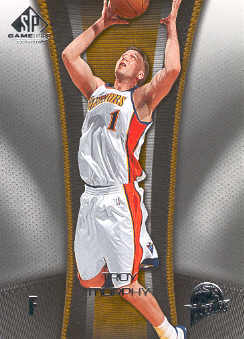 2006-07 SP Game Used #31 Troy Murphy