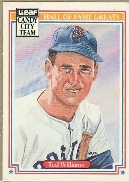 1987 Leaf Special Olympics #H5 Ted Williams