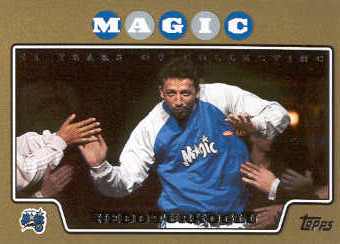 2008-09 Topps Gold Border #80 Hedo Turkoglu