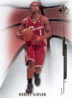 2008-09 SP Authentic #59 Daniel Gibson