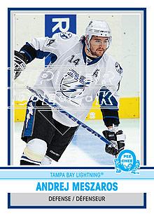 2009-10 O-Pee-Chee Retro Rainbow #16 Andrej Meszaros