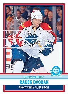 2009-10 O-Pee-Chee Retro #234 Radek Dvorak