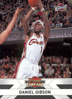 2010-11 Panini Threads #104 Daniel Gibson