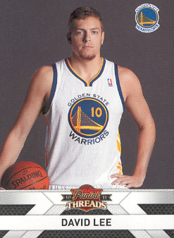 2010-11 Panini Threads #118 David Lee