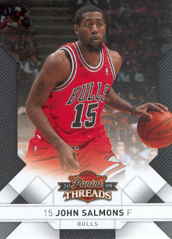 2009-10 Panini Threads #55 John Salmons