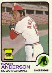 1973 Topps #241 Dwain Anderson