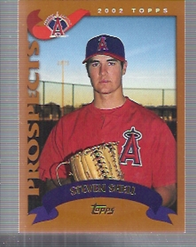 2002 Topps Traded #T256 Steven Shell RC