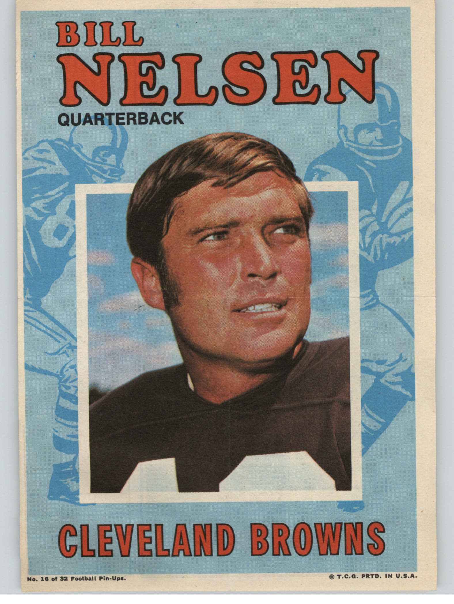 1971 Topps Posters Inserts #16 Bill Nelsen
