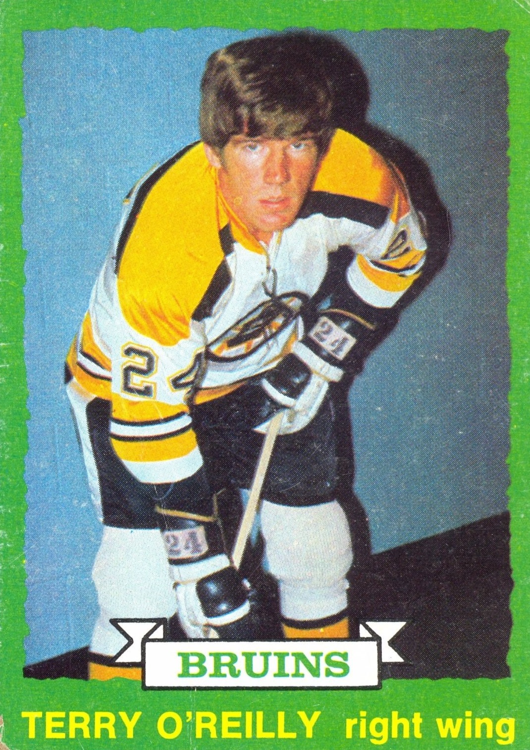 1973-74 O-Pee-Chee #254 Terry O'Reilly RC