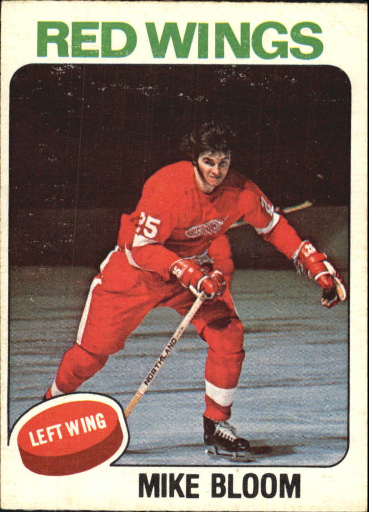 1975-76 O-Pee-Chee #376 Mike Bloom