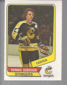 1976-77 O-Pee-Chee WHA #29 Dennis Sobchuk