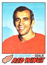 1977-78 O-Pee-Chee #70 Ed Giacomin
