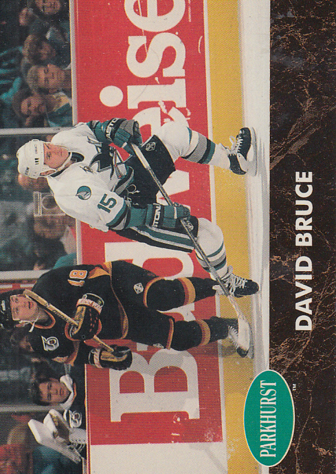 1991-92 Parkhurst #384 David Bruce RC