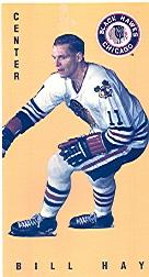 1994 Parkhurst Tall Boys #42 Bill Hay