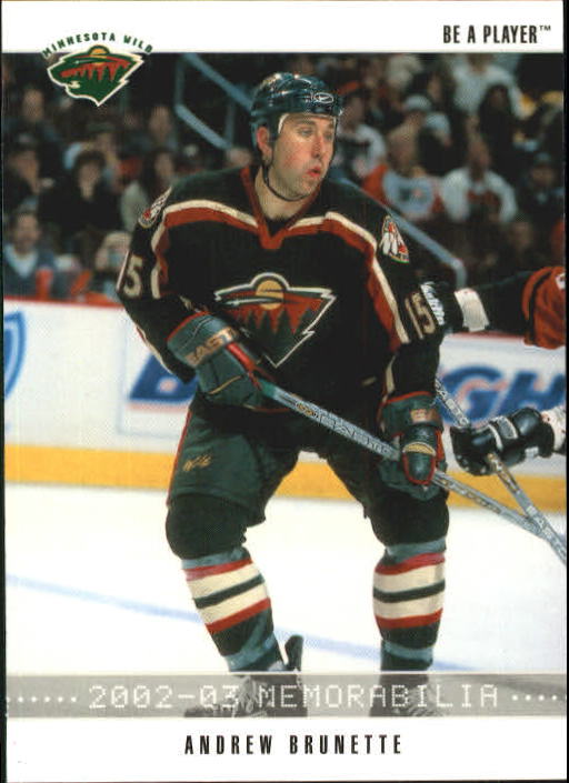 2002-03 BAP Memorabilia #31 Andrew Brunette