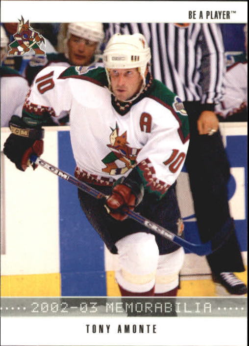 2002-03 BAP Memorabilia #144 Tony Amonte