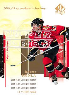 2004-05 SP Authentic #14 Jarome Iginla
