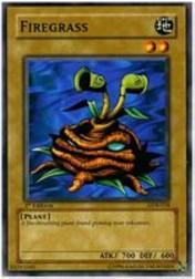 2002 Yu-Gi-Oh Legend of Blue Eyes White Dragon 1st Edition #LOB-18  Firegrass