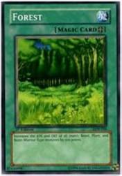 2002 Yu-Gi-Oh Legend of Blue Eyes White Dragon 1st Edition #LOB-46  Forest