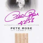 rose21
