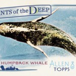 GIANTSDEEP