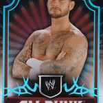 wwepunk