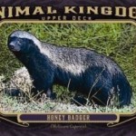HoneyBadger-300x215 HoneyBadger-300x215