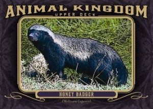 HoneyBadger-300x215 HoneyBadger-300x215