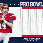 fathersdaydaltonprobowl