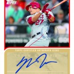 Trout