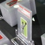 IMG_1307 IMG_1307