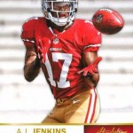 paniniamericausbank49ers5