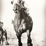 2013-golden-age-baseball-seabiscuit