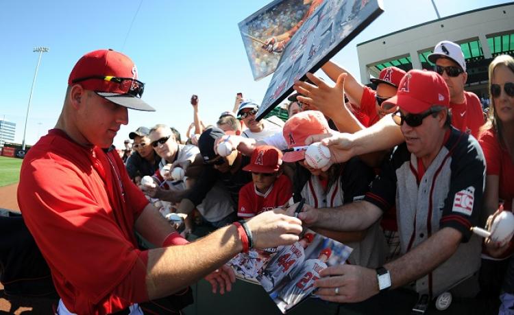 Collectors can obtain many player autographs at spring training