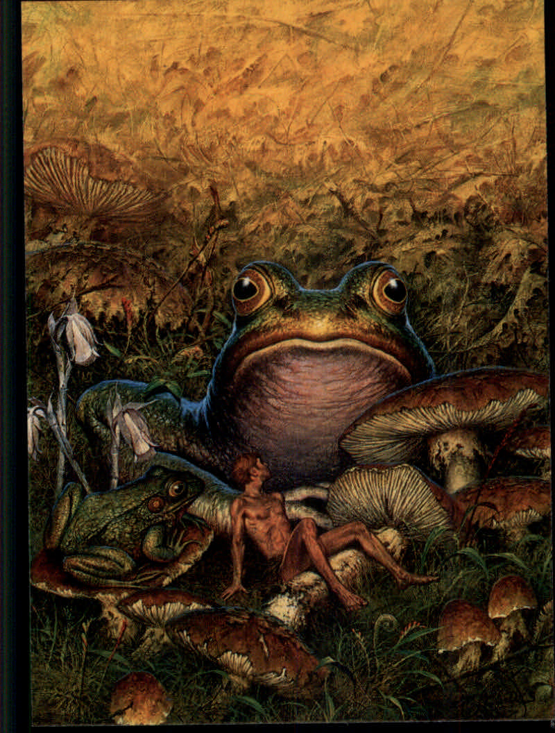 Darrell K. Sweet, The Fantasy Art of (1994 FPG) Cards - Picture 138 of 183