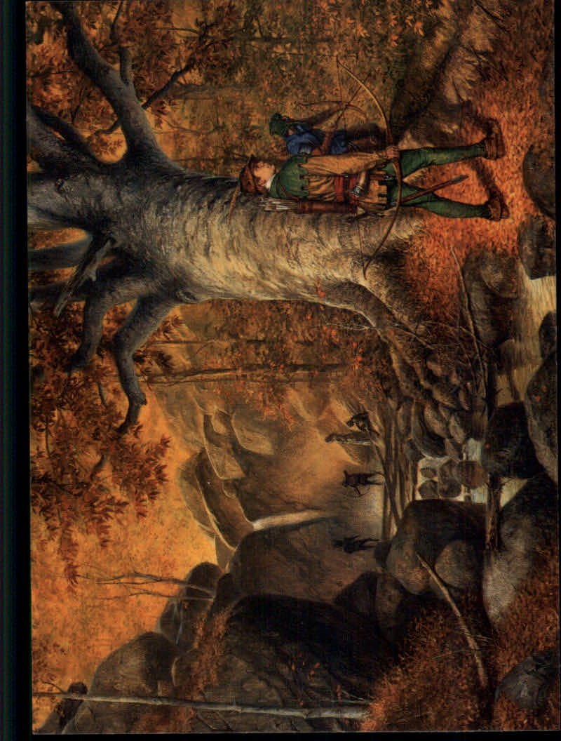 Darrell K. Sweet, The Fantasy Art of (1994 FPG) Cards - Picture 170 of 183
