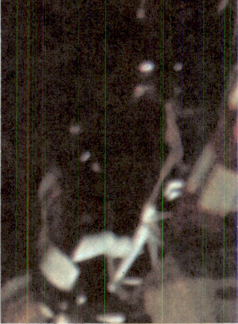 1976 Donruss Space 1999 #20 Lt. Carter holds a robot ruler hostage back image