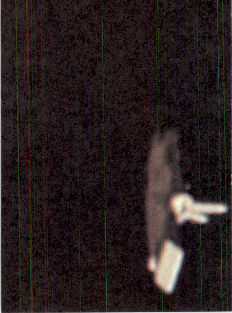 1976 Donruss Space 1999 #27 Alpha security men capture alien back image