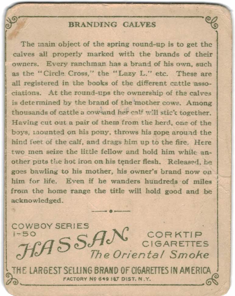 1909 Hassan Cowboy Series T53 #12 Branding a Calf back image