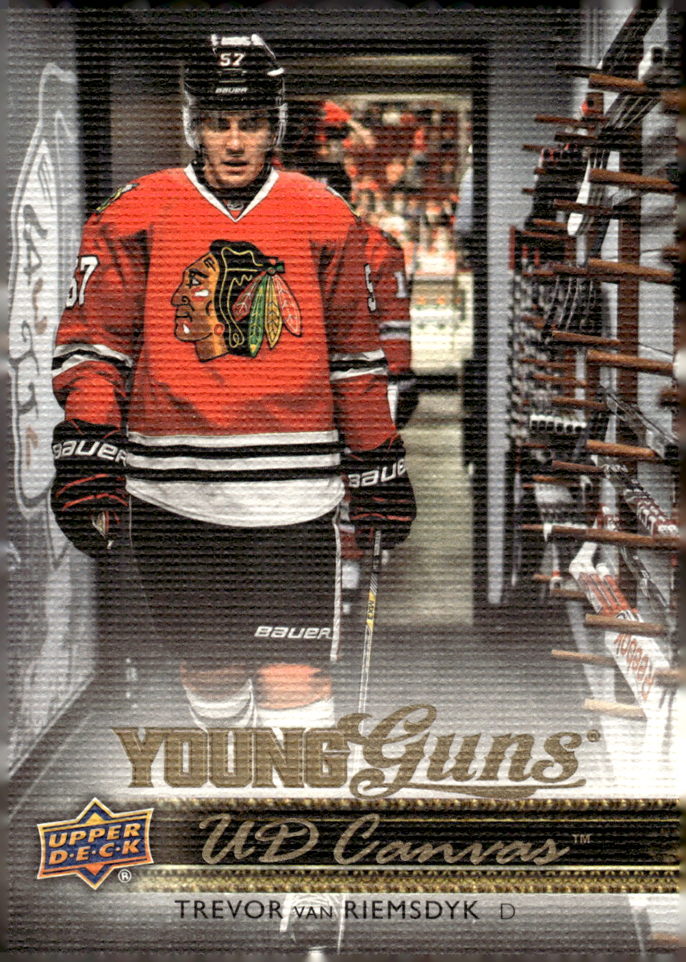 2014-15 UPPER DECK CANVAS HOCKEY ASSORTED SINGLES U-PICK #202-270