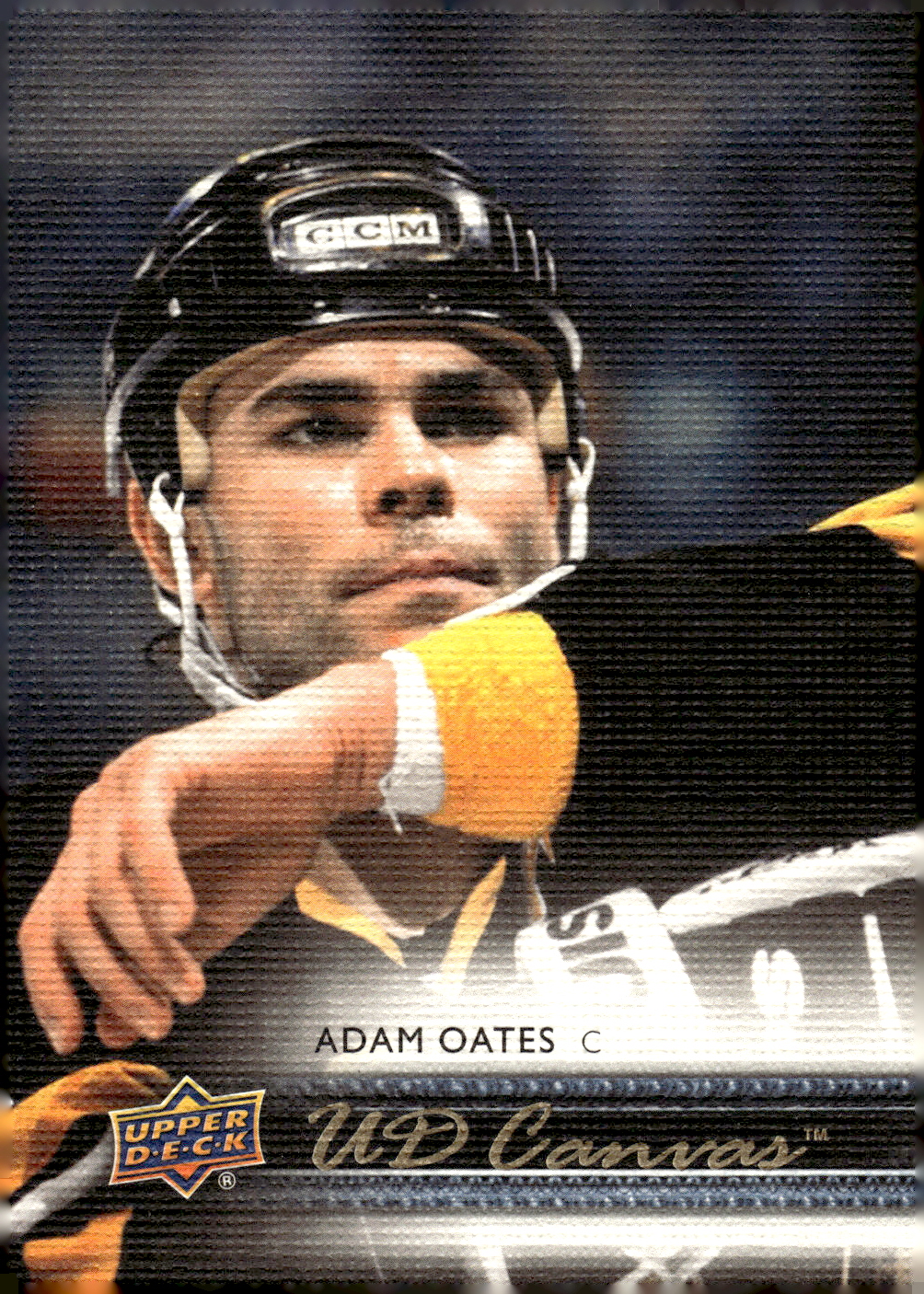 2014-15 UPPER DECK CANVAS HOCKEY ASSORTED SINGLES U-PICK #202-270