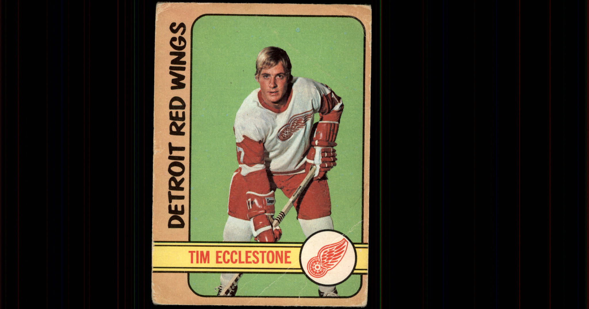 1972-73 O-Pee-Chee #55 Tim Ecclestone
