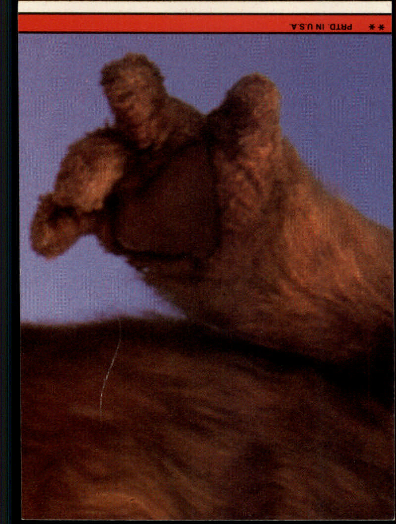 Tarjetas insertadas "pegatinas" ALF (1987-88 Topps) - Imagen 25 de 41
