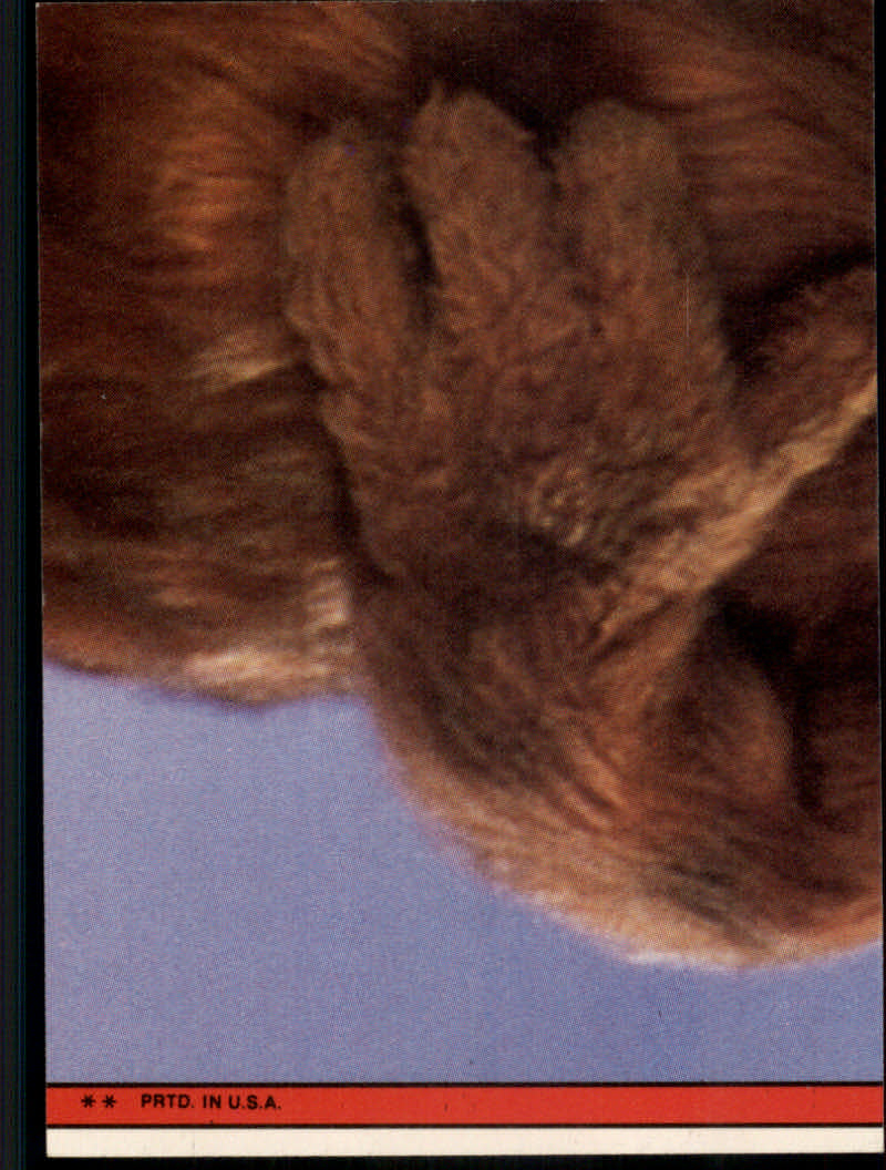 Tarjetas insertadas "pegatinas" ALF (1987-88 Topps) - Imagen 35 de 41